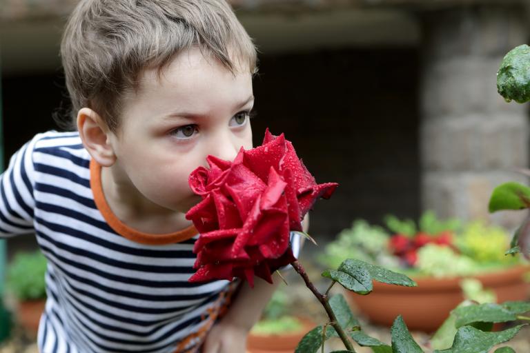 Thomas Aged 5